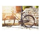Tableau Bike Vintage Holiday 80x55