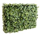 Plante artificielle haute gamme Spécial extérieur / Cornouiller artificiel HAIE - Dim : 75 x 32 cm