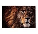 Tableau Lion Marron Verre 150x2x100cm