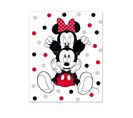 Plaid Polaire Mickey Et Minnie Pois Noir Rouge Et Gris 100x140 cm