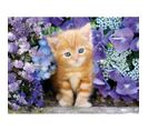 30415 - 500 Pieces - Ginger Cat In Flowers