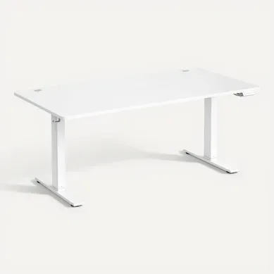 Bureau Assis-debout Réglable, 160 X 80 Cm, Avec Port USB-c, Fonction Mémoire 3 Hauteurs, Blanc Bureau Assis-debout Réglable, 160 X 80 Cm, Avec Port USB-c, Fonction Mémoire 3 Hauteurs, Blanc
