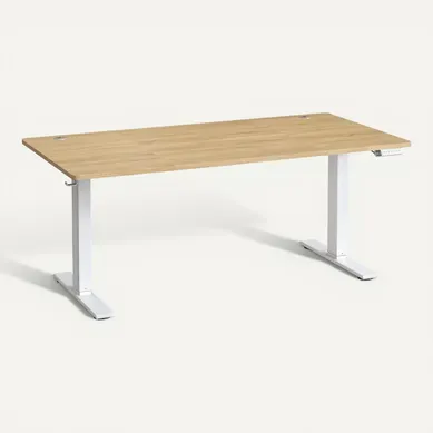 Bureau Assis-debout, Réglable En Hauteur, 160 X 80 Cm, Avec Port USB-c, Couelur Chêne Bureau Assis-debout, Réglable En Hauteur, 160 X 80 Cm, Avec Port USB-c, Couelur Chêne