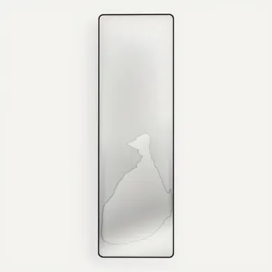 Miroir Sur Pied, 160 X 50 Cm, Cadre En Alliage D’aluminium, Verre Trempé, Noir