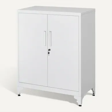 Armoire De Bureau à 2 Portes, Verrouillable, En Acier, Pour Bureau, Salon, Gris