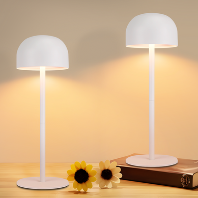 Lampe de Table Lot De 2 LED Sans Fil - Lampe Intensité Variable Avec 3 Températures