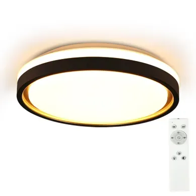Plafonnier LED Salon D.30cm Dimmable Avec Télécommande Plafonnier Moderne Couloir