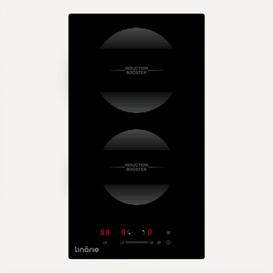Domino Plaque Induction Encastrable Craon Linarie Lin30i2z 2 Zones Domino Plaque Induction Encastrable Craon Linarie Lin30i2z 2 Zones