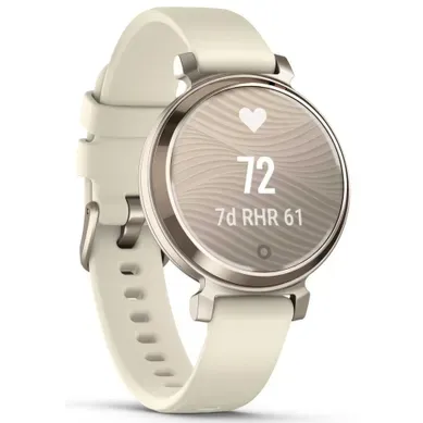 Montre Connectée Garmin 010-02839-00