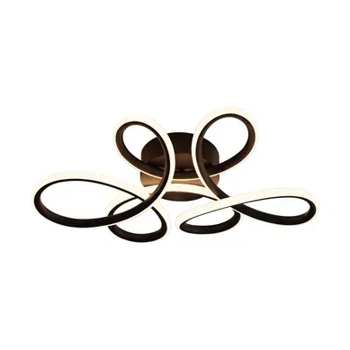 Plafonnier LED 24 W 3000 K Plafonnier Moderne Noir Pour Salon Chambre