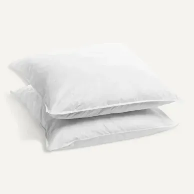 Lot De 2 Oreillers Mémoire De Forme Mixte 60x60cm Lot De 2 Oreillers Mémoire De Forme Mixte 60x60cm
