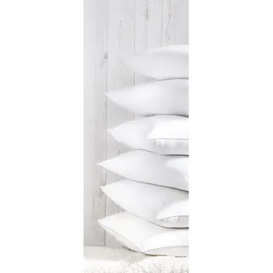 Oreiller moelleux 60x60 cm DREAMEA NEWCONFORT vue d'ambiance 1