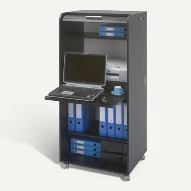 Armoire Informatique Mobile Noire 2 Tiroirs 5 Niches - Coloris: Bambous 912 Armoire Informatique Mobile Noire 2 Tiroirs 5 Niches - Coloris: Bambous 912