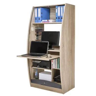 Armoire Informatique Galbée Chêne Noir 6 Niches Armoire Informatique Galbée Chêne Noir 6 Niches