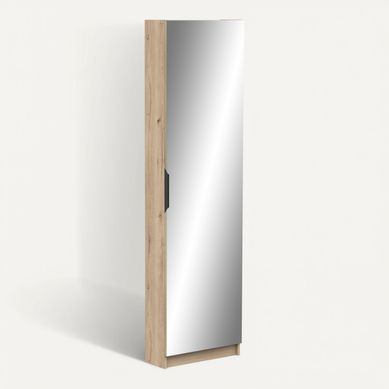 Armoire à Chaussures 1 Porte Miroir L50 Cm