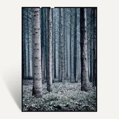 Toile 50x70 cm TRONC Lario noir Toile 50x70 cm TRONC Lario noir vue de face