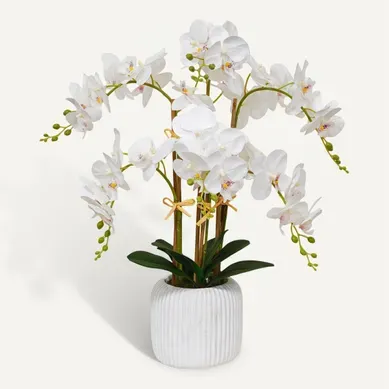 Orchidée 6 branches H. 67 cm KLEA Blanche vue de face
