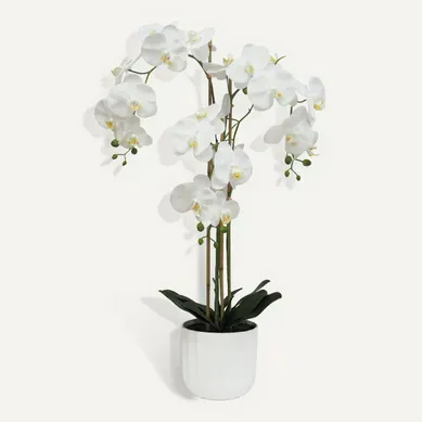 Orchidée H. 100 cm SARAH Blanc vue de face