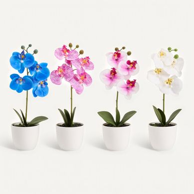 Orchidées pot H. 36 cm  Blanc / Bleu / Rose vue de face
