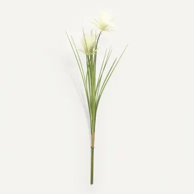 Papyrus tige plumeau H113 Vert et blanc Papyrus tige plumeau H113 Vert et blanc vue de face