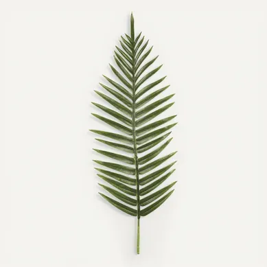 Arecca palme feuillage H100 cm Vert Arecca palme feuillage H100 cm Vert vue de face