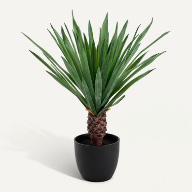 Palmier pot plastique H52  Noir vue 3/4