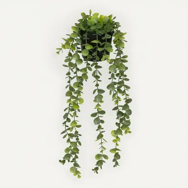 Plante eucalyptus H. 51 cm MERLY Vert foncé ou vert clair vue de face