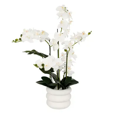 Orchidée H. 80 cm MICK Blanc vue 3/4