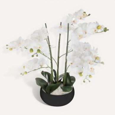 Orchidée pot céramique SANAE Noir vue de face