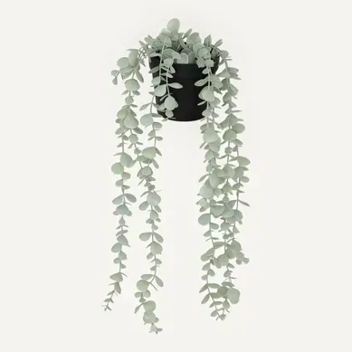 Eucalyptus Artificiel En Pot "merly" Vert H51cm