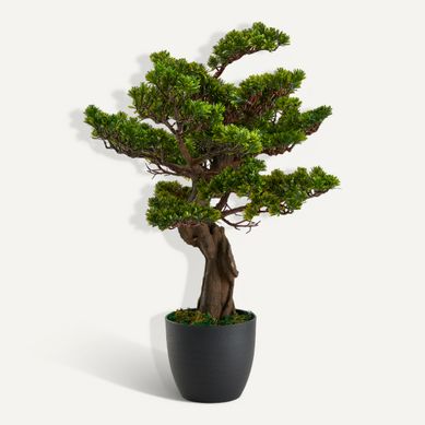 Plante artificielle H80 cm BONSAI Noir / Vert vue 3/4