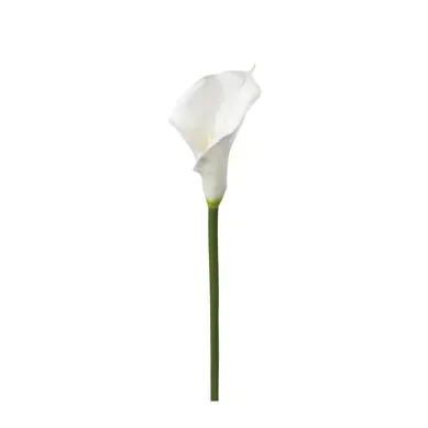 Tige H. 75 cm AROME Ivoire Tige H. 75 cm AROME Ivoire vue 3/4