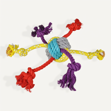 Jouet Pour Chien "corde et 6 Nœuds" 42cm Multicolore Jouet Pour Chien "corde et 6 Nœuds" 42cm Multicolore