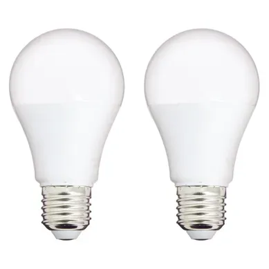 Lot de 2 ampoules LED standard TIMOTHEE E27 40W Lot de 2 ampoules LED standard TIMOTHEE E27 40W vue de face