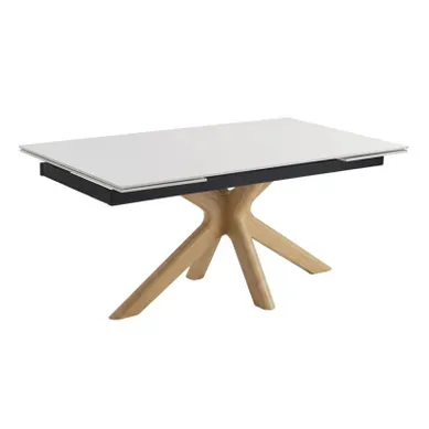 Table Extensible 180 À 260 Cm Céramique Blanc Pied Croisé Bois Clair - Oregon 12 Table Extensible 180 À 260 Cm Céramique Blanc Pied Croisé Bois Clair - Oregon 12