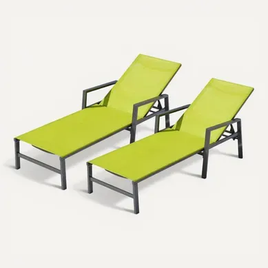 Bari - Lot De 2 Transats Gris Foncé et Vert En Aluminium