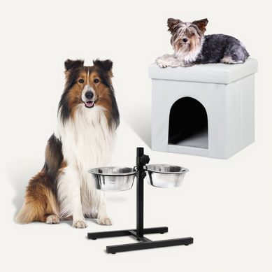 Ensemble Pour Chien, 2 Pièces