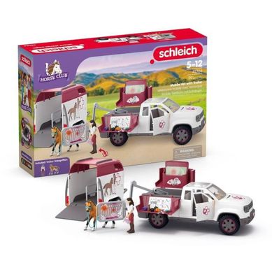 Set Vétérinaire Mobile Pour Chevaux Avec Remorque, Radiographie Et Accessoires Set Vétérinaire Mobile Pour Chevaux Avec Remorque, Radiographie Et Accessoires