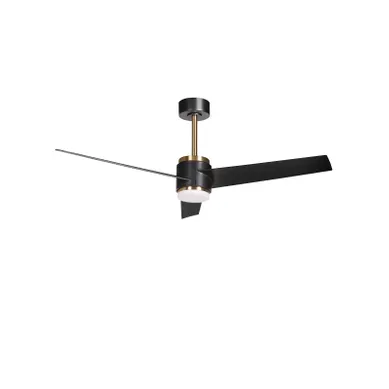 Ventilateur De Plafond Avec Lampe Trout Avec Télécommande LED Noir Ventilateur De Plafond Avec Lampe Trout Avec Télécommande LED Noir