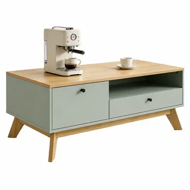 Table Basse Rectangulaire Avec Tiroir, Porte Et Niche Ouverte, Vert Clair