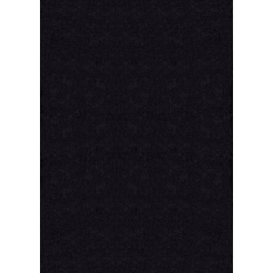 Tapis Moelleux Poils Courts, Antidérapant, Lavable, Soft, Noir, 200 X 280 Cm