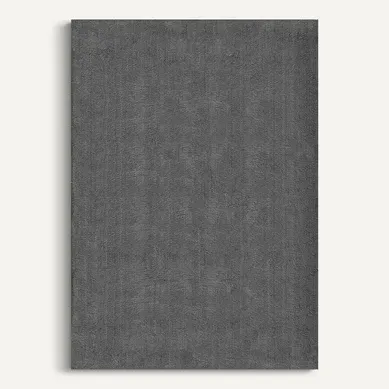 Tapis Moelleux Poils Courts, Antidérapant, Lavable, Soft, Anthracite, 300 X 400 Cm