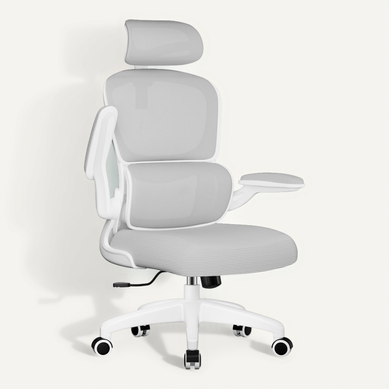 Fauteuil De Bureau, Accoudoirs Pliable, Inclinable, Soutien Lombaire Ergonomique,gris Fauteuil De Bureau, Accoudoirs Pliable, Inclinable, Soutien Lombaire Ergonomique,gris
