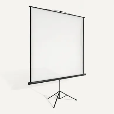 1 écran De Projection En Polyester Blanc