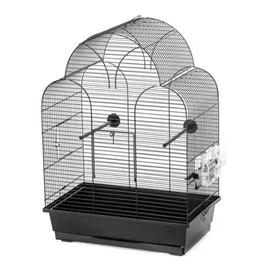 Cage Sonia Cage Sonia