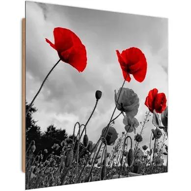 Tableau Coquelicots Rouges Bois Sur Le Pré 60 X 60 Cm Rouge Tableau Coquelicots Rouges Bois Sur Le Pré 60 X 60 Cm Rouge