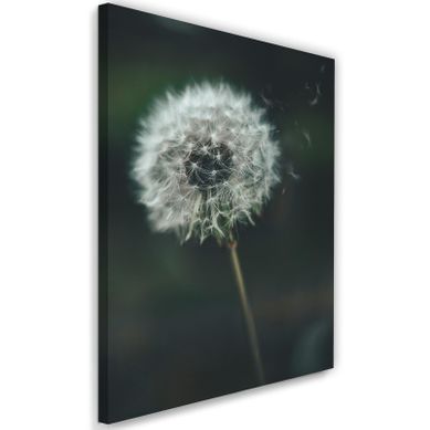 Tableau Pissenlit 40 X 60 Cm Blanc Tableau Pissenlit 40 X 60 Cm Blanc