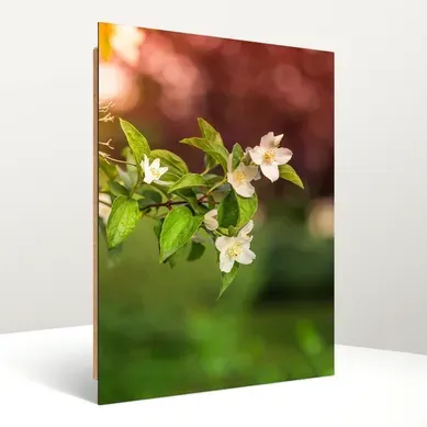 Tableau Bois Fleurs De Jasmin 40 X 60 Cm Vert Tableau Bois Fleurs De Jasmin 40 X 60 Cm Vert
