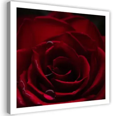 Tableau Rose Rouge 50 X 50 Cm Rouge Tableau Rose Rouge 50 X 50 Cm Rouge