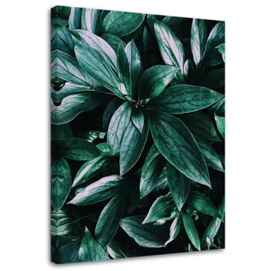 Tableau Feuilles De Plantes Tropicales 40 X 60 Cm Vert Tableau Feuilles De Plantes Tropicales 40 X 60 Cm Vert